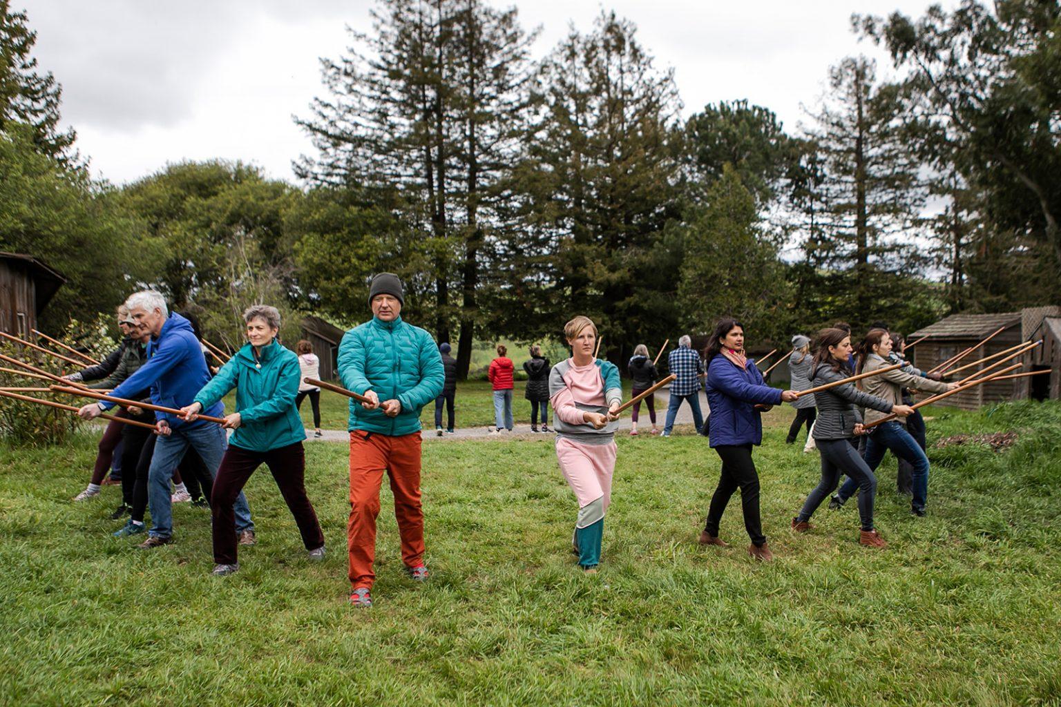 Embodied Leadership Coaching