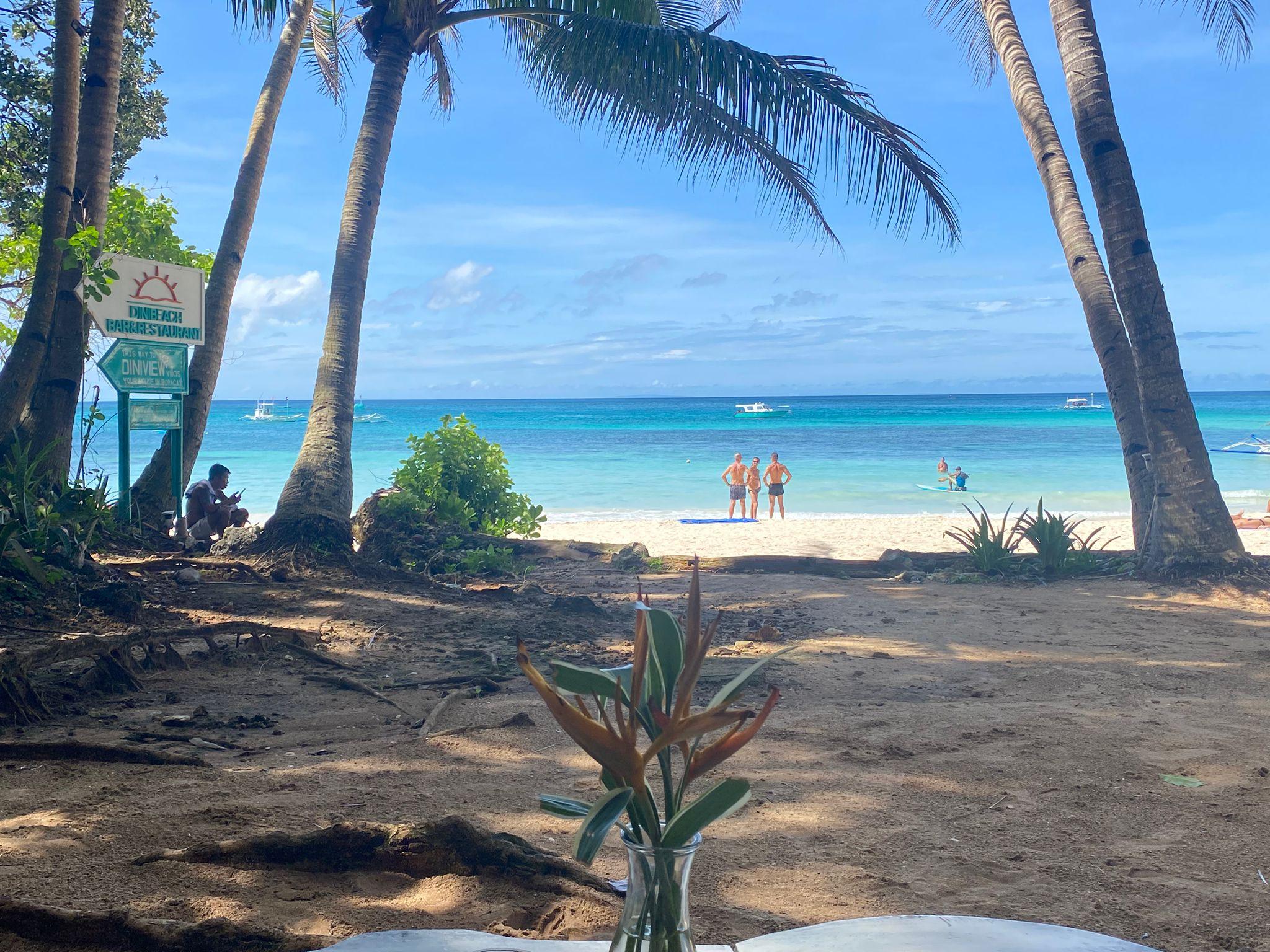 Dreaming Ourselves Alive